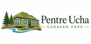 website logo